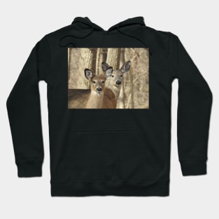 Whitetail deer, doe and babe, wildlife photography Hoodie